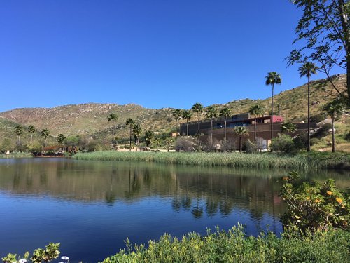 AlXimia - Baja Wine Country Guide