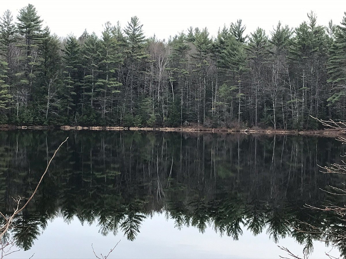 Goose Pond Loop (Keene) - All You Need to Know BEFORE You Go