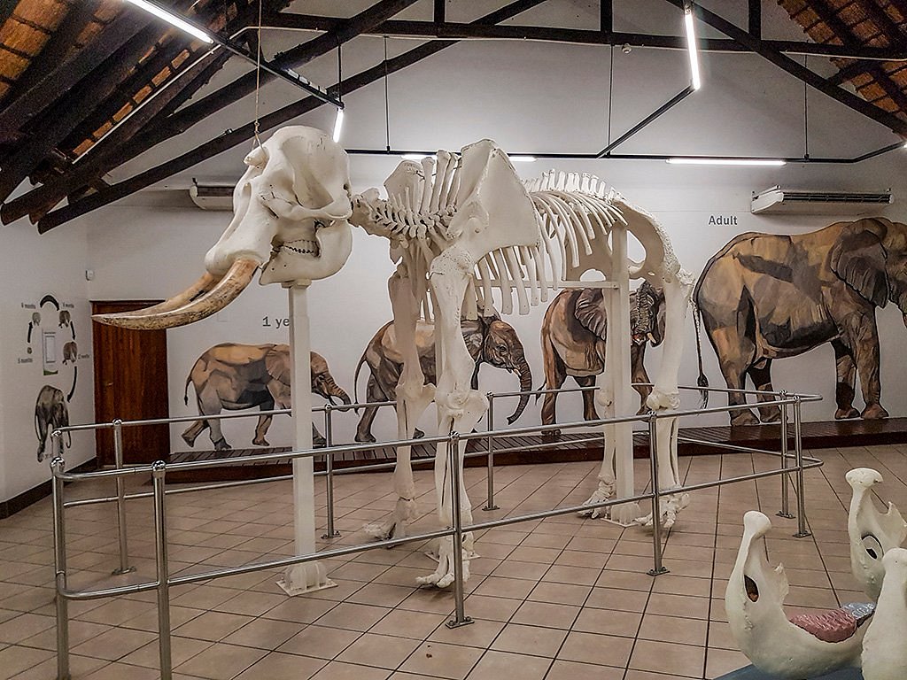 LETABA ELEPHANT HALL: All You Need to Know BEFORE You Go (with Photos)