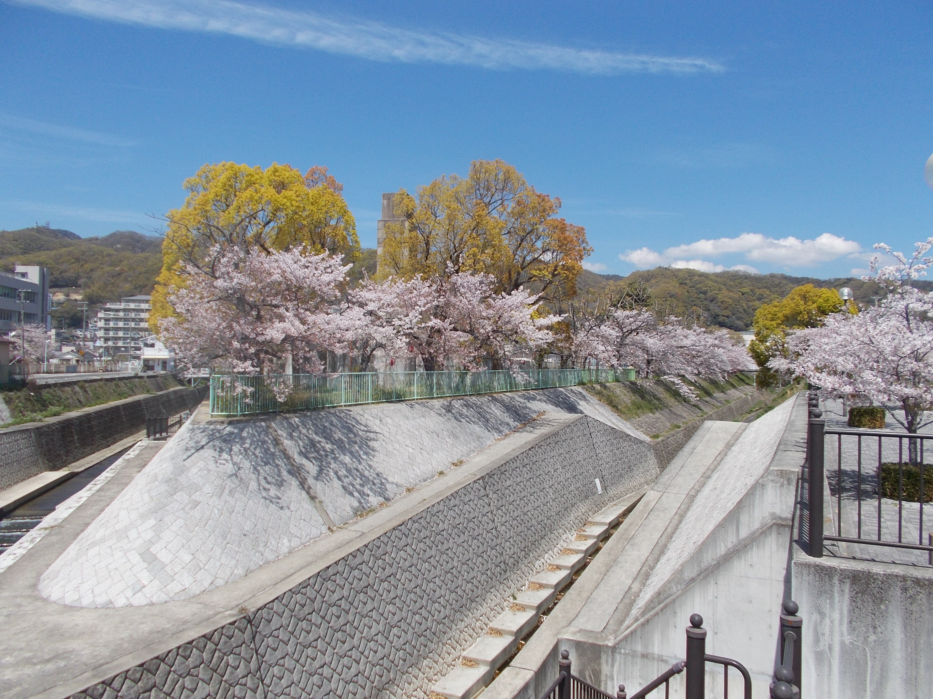 2024年 雪御所公園 - 出発前に知っておくべきことすべて - トリップアドバイザー