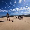 Things To Do in Addo township tours, Restaurants in Addo township tours