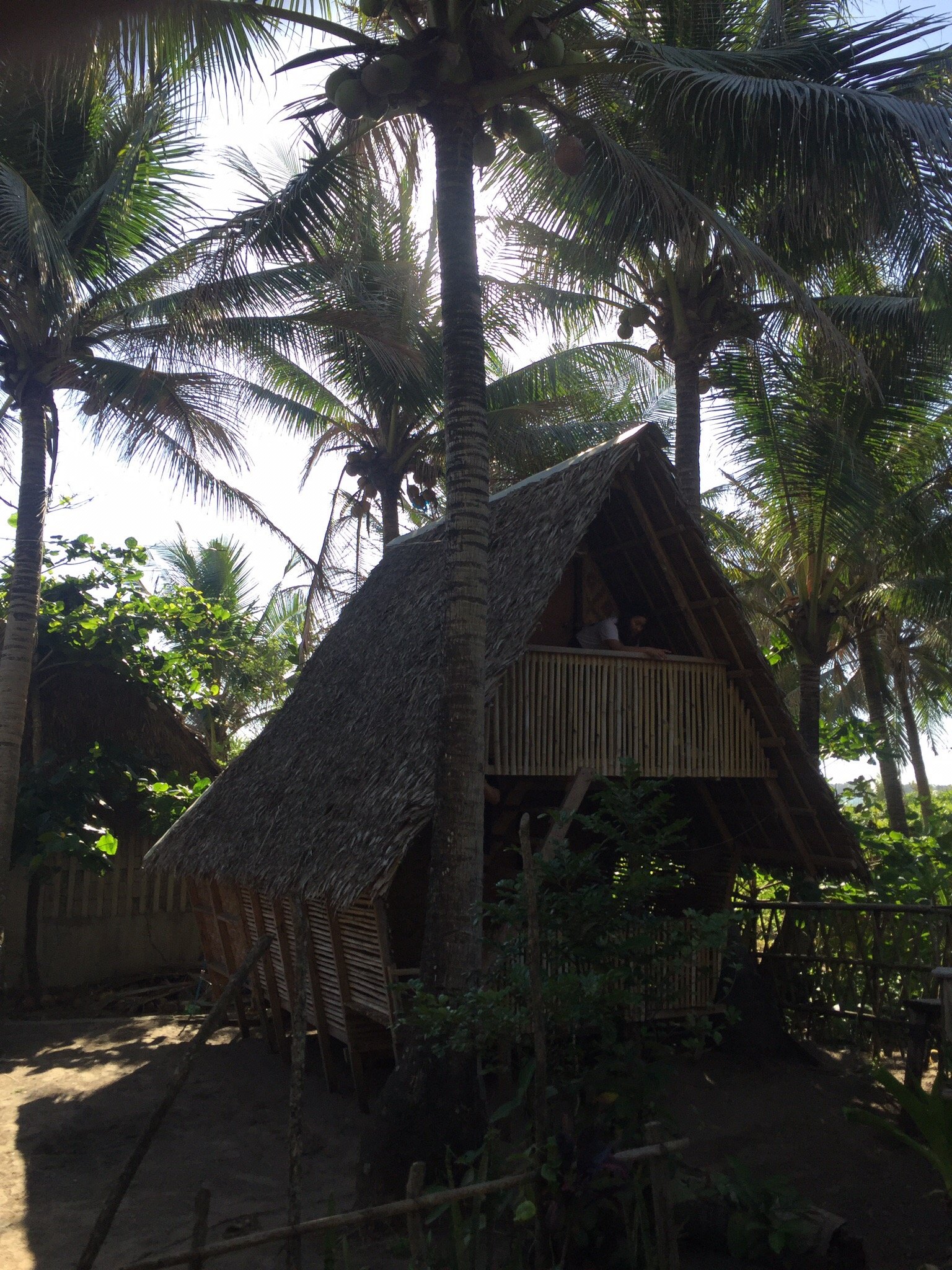 Lola Sayong Eco Surf Camp All You Need to Know BEFORE You Go 2025