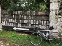 Parque Nacional Desierto de los Leones (Mexico City) - All You Need to Know  BEFORE You Go