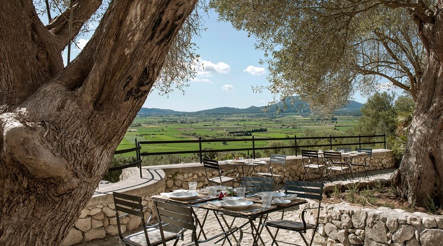 Terrace Los Olivos
