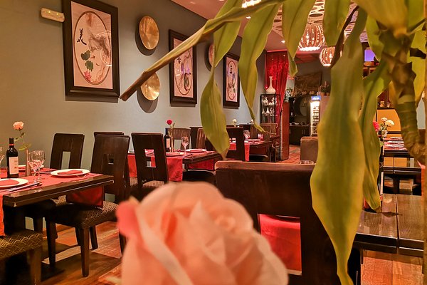 La comida china es pura magia - Shanghai Station restaurantes en Madrid