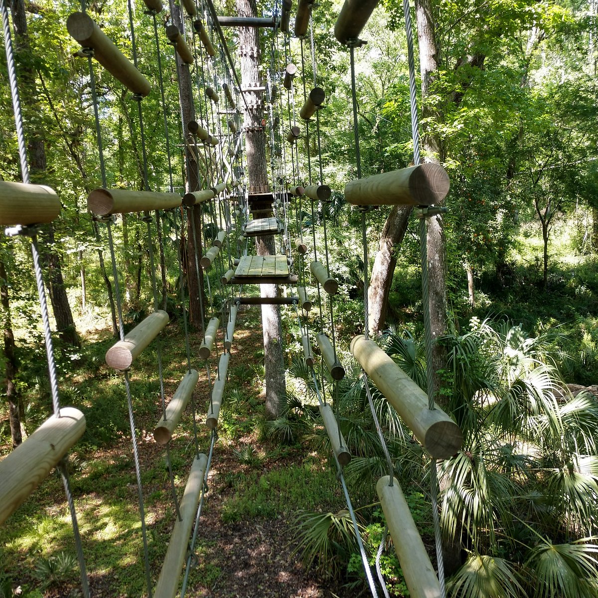 FLG X Adventure Course (Brooksville) All You Need to Know BEFORE You Go