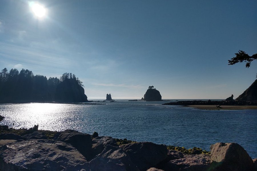 Quileute Indian Reservation image