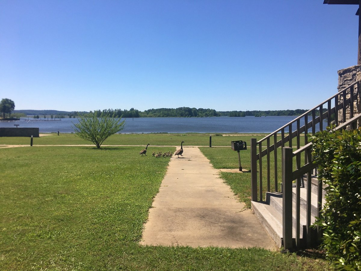 Escape To Tranquility: Your Guide To Lakepoint Resort State Park