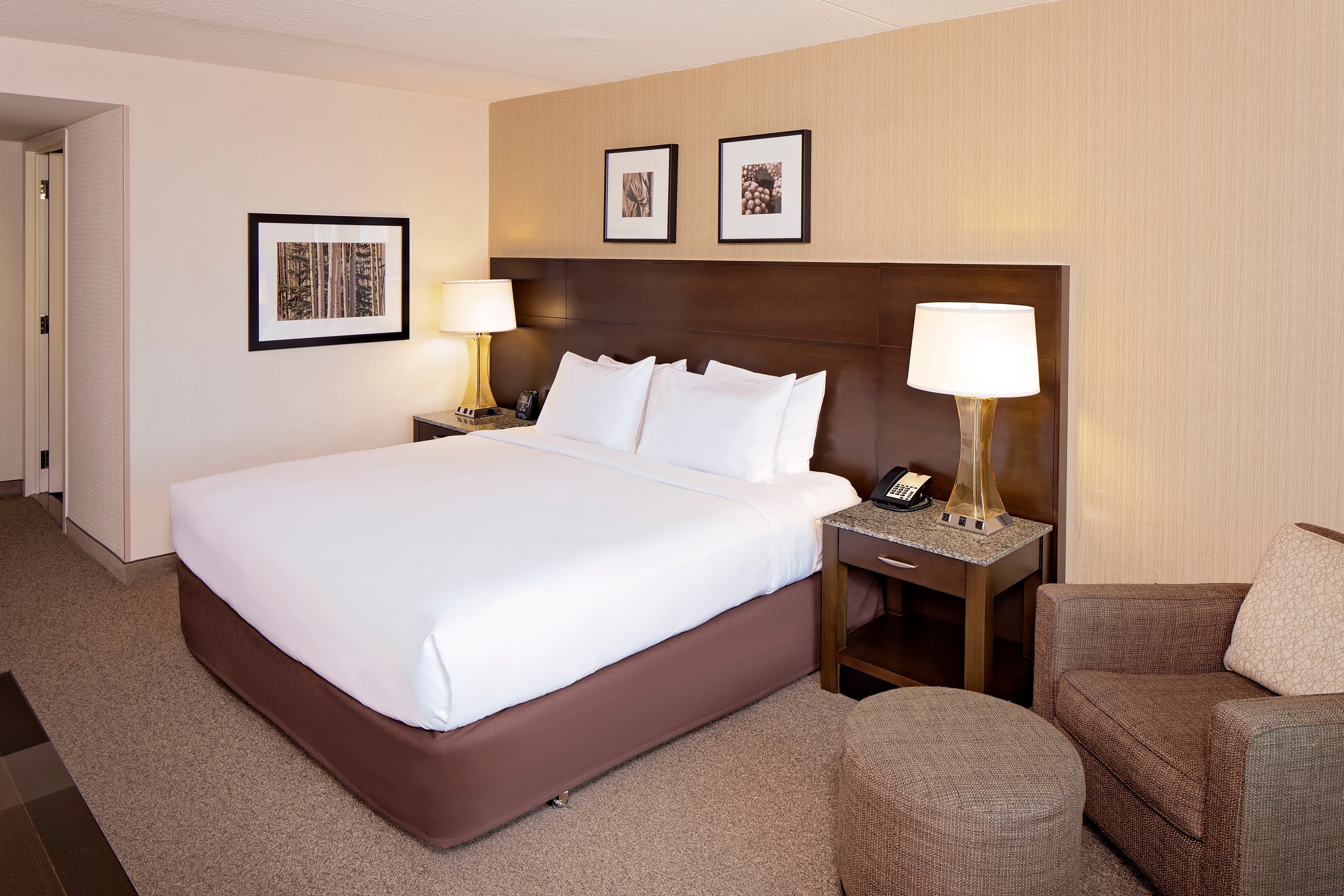 DOUBLETREE BY HILTON BOSTON BAYSIDE Updated 2024 Reviews Photos Prices   Doubletree By Hilton 