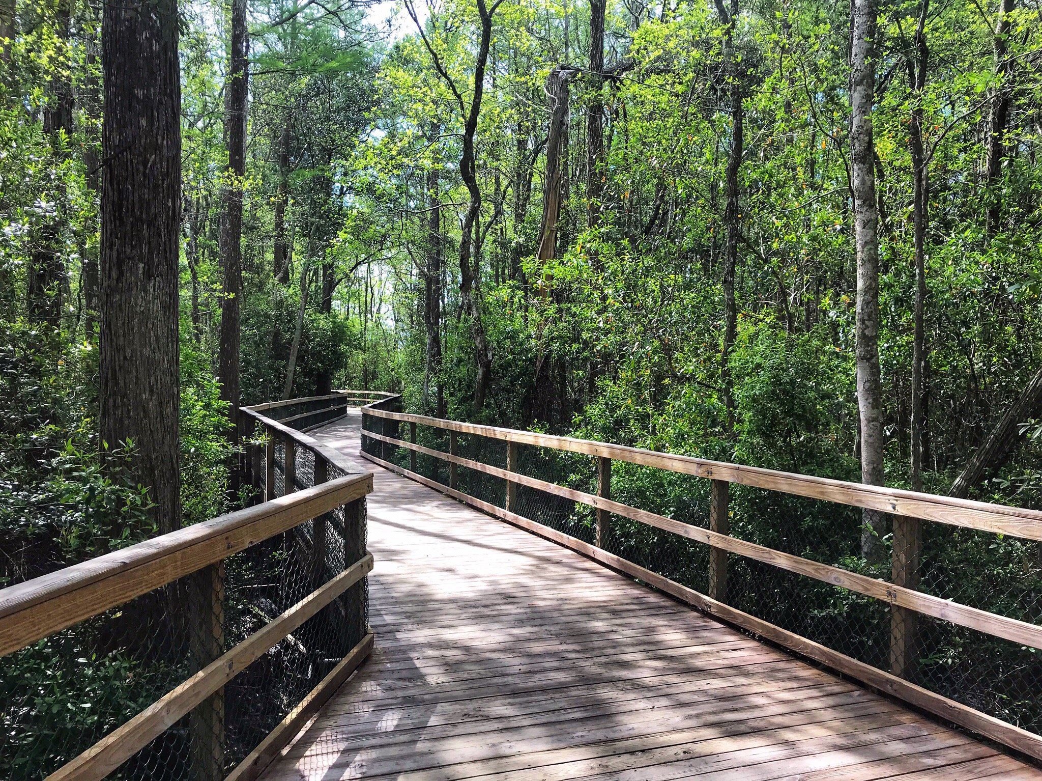 Niceville, FL: All You Must Know Before You Go (2025