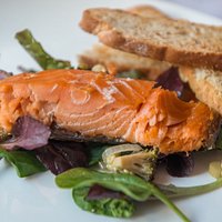 Salmon