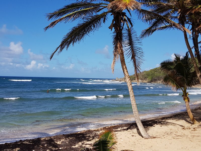 Bathsheba 2021: Best of Bathsheba, Barbados Tourism - Tripadvisor