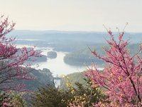 Veterans Overlook on Clinch Mountain - Courageous Christian Father