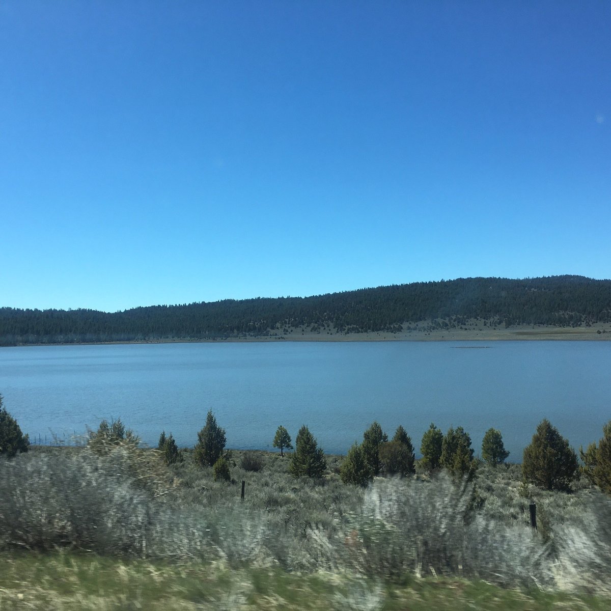 Modoc National Forest (Alturas) - All You Need to Know BEFORE You Go