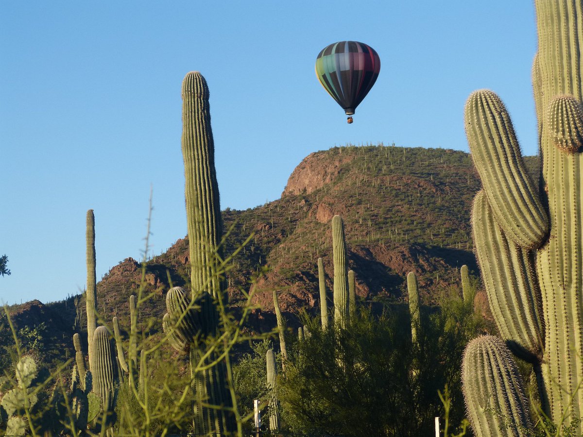 Fleur de Tucson Balloon Tours - All You Need to Know BEFORE You Go
