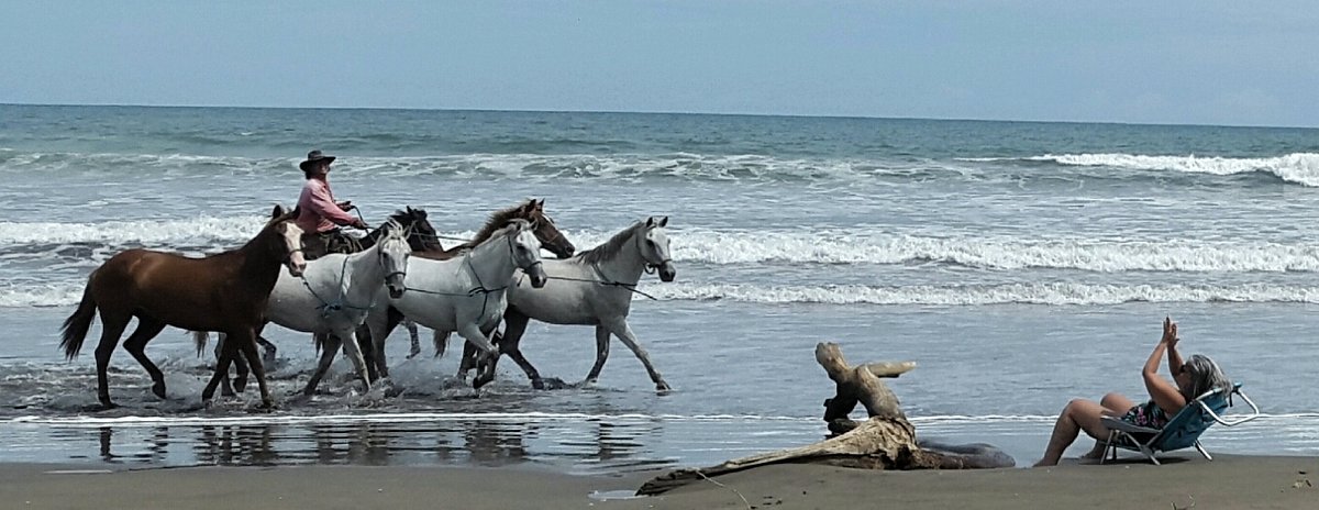 Playa  Uruguay cerró la gira - AUF