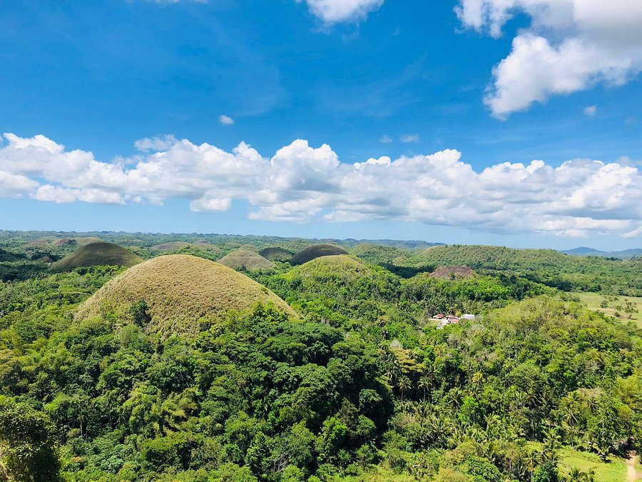 チョコレート ヒルズ コンプレックス Chocolate Hills Complex ボホール島 口コミ 宿泊予約 トリップアドバイザー