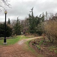 spring @York Mills Valley Park