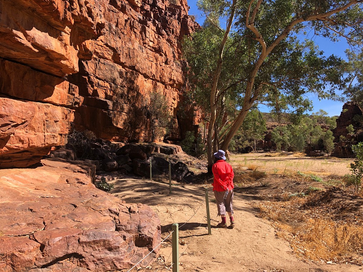 alice springs outback tours