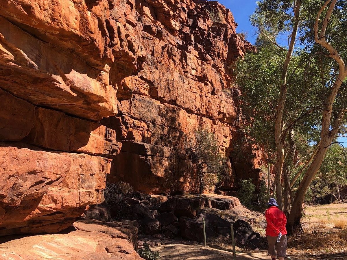 alice springs outback tours