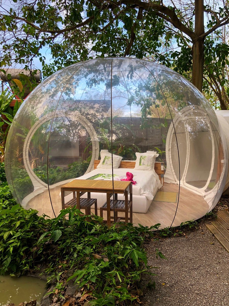 Le Domaine Des Bulles Prices Campground Reviews Martinique Caribbean Tripadvisor Le Domaine Des Bulles Prices Campground Reviews Martinique Caribbean Tripadvisor