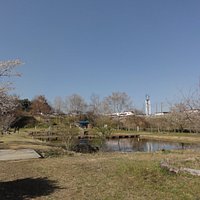 赤羽緑地風景