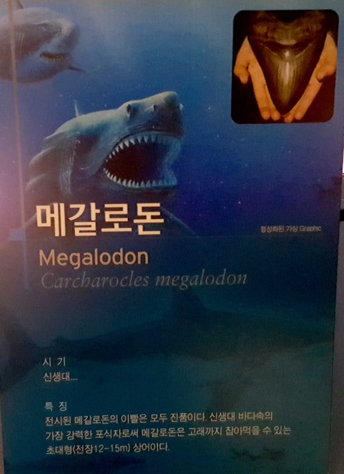 Mokpo review images
