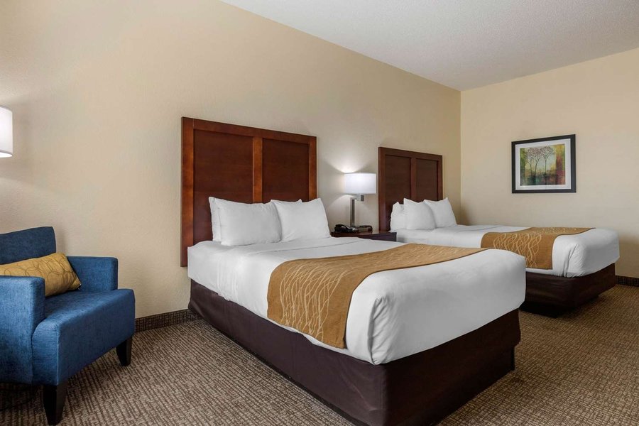 COMFORT INN & SUITES CAMDEN $89 ($̶1̶2̶5̶) - Updated 2022 Hotel Reviews ...