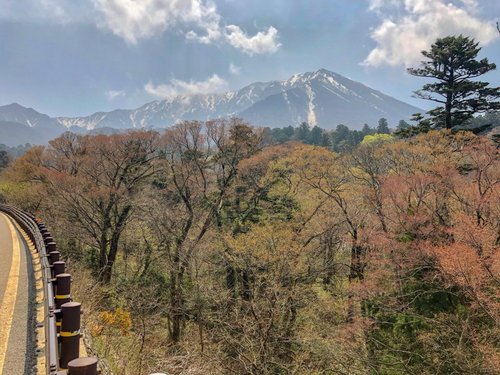 大山町の観光案内所 大山町の 件の観光案内所をチェックする トリップアドバイザー