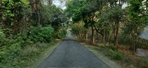 Katarniaghat Wildlife Sanctuary (Bahraich) - All You Need to Know ...