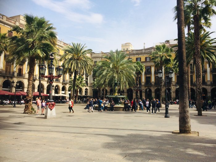 Imagen 6 de Barcelona Beach Bikes