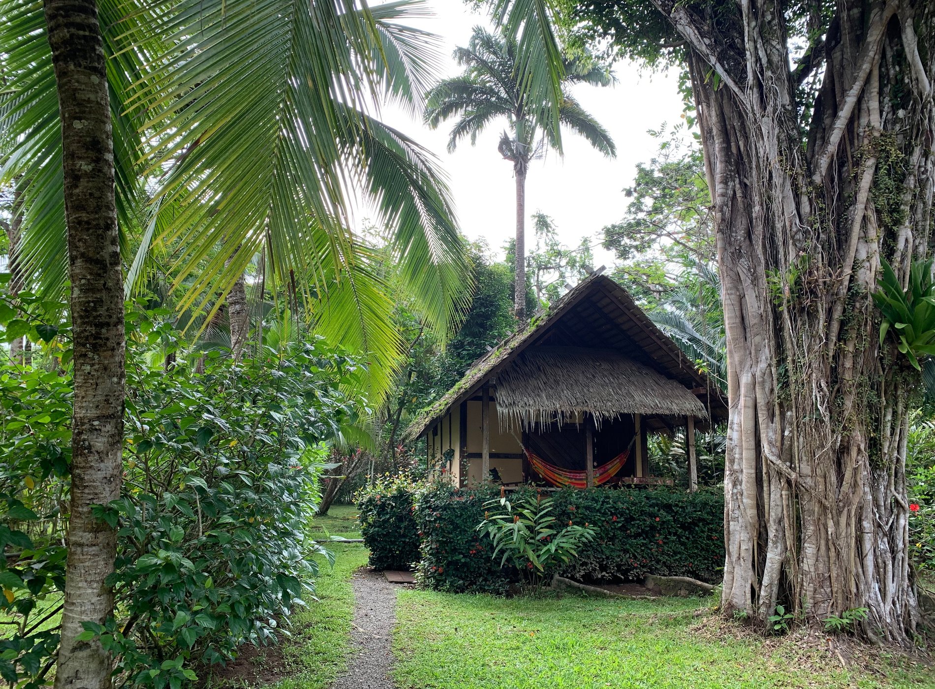 Alby Lodge by null