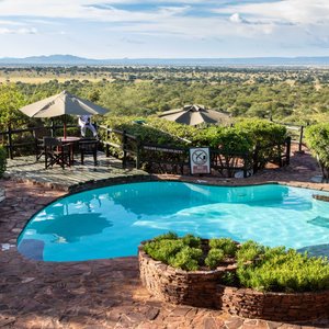Pool with a view of the savanna