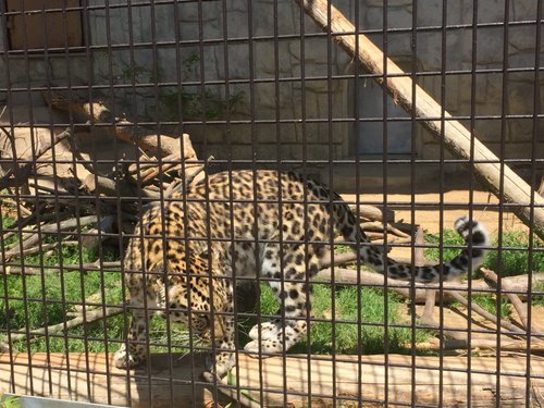 大牟田 市 動物園