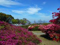 21年 久留米森林つつじ公園 行く前に 見どころをチェック トリップアドバイザー