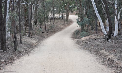 The exit road (also the entrance road) back to the car park