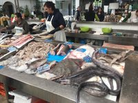 Mercado Municipal de Matosinhos - All You Need to Know BEFORE You Go (with  Photos)