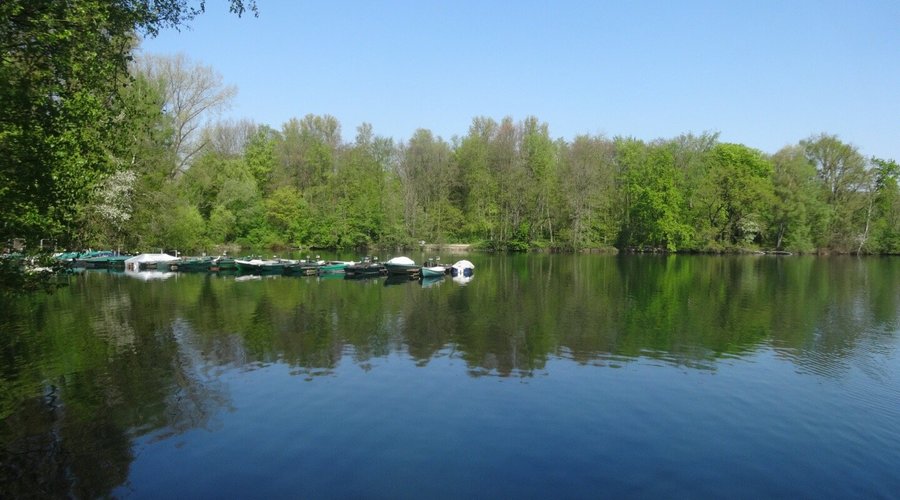 Picture of Unterbacher See