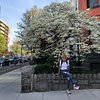 CamilaRRenzi