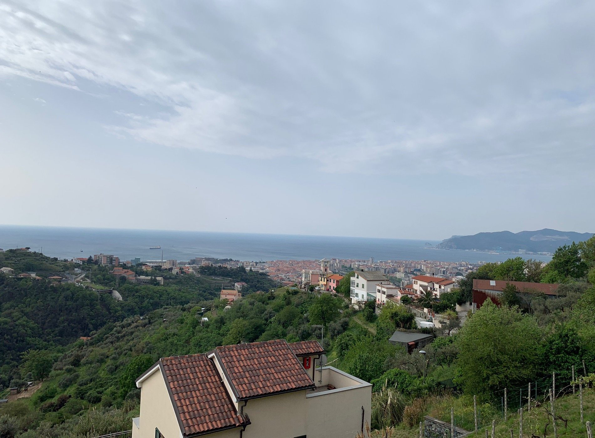 Il giardino degli ulivi image