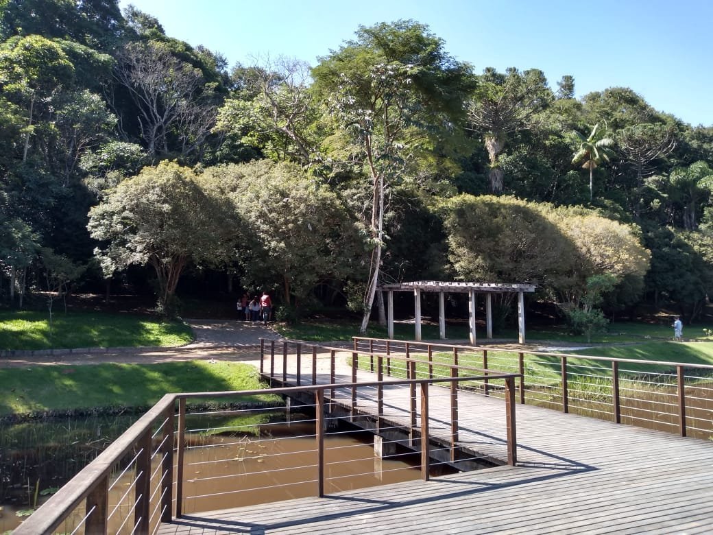 Jardim Botanico UFJF - All You Need to Know BEFORE You Go (2024)