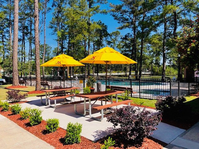 Savannah Koa Campground Map Savannah South Koa - Updated 2022 Campground Reviews (Richmond Hill, Ga)