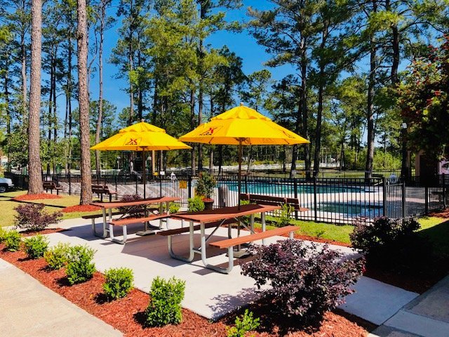 Savannah Koa Campground Map Savannah South Koa - Updated 2022 Campground Reviews (Richmond Hill, Ga)