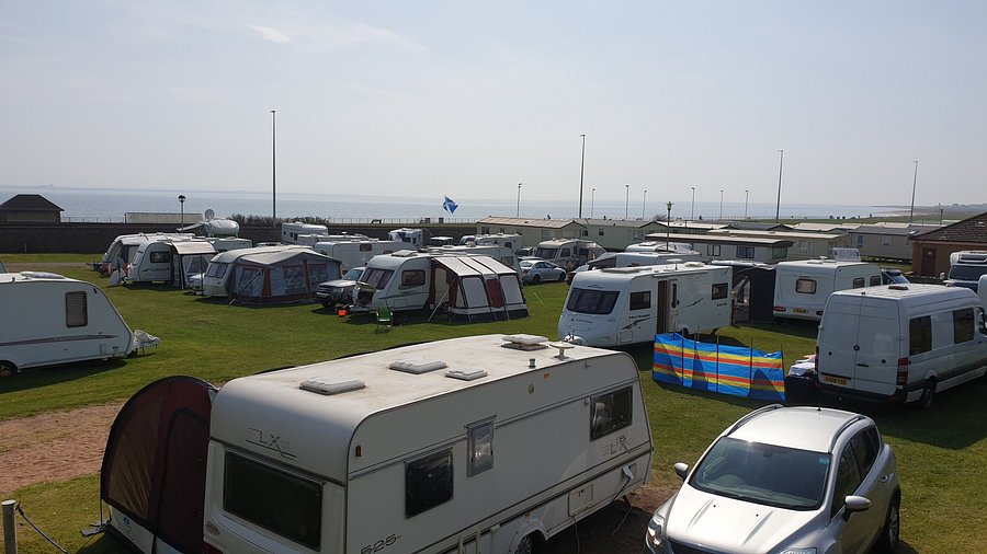 Караванов лев. Арброут. Гейфилд парк Арброт. Scottish Caravan Shag.