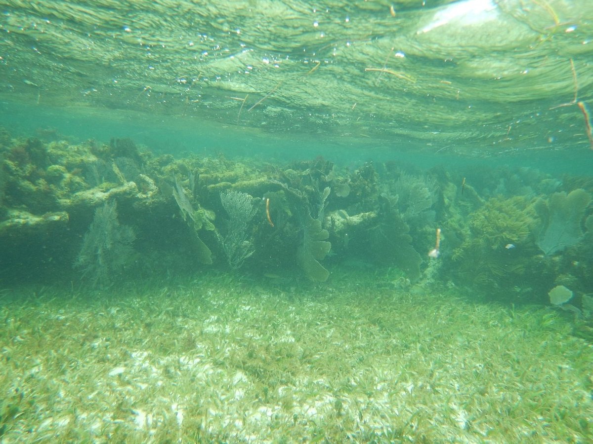 snorkel shop playa del carmen