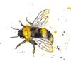honeyandbee