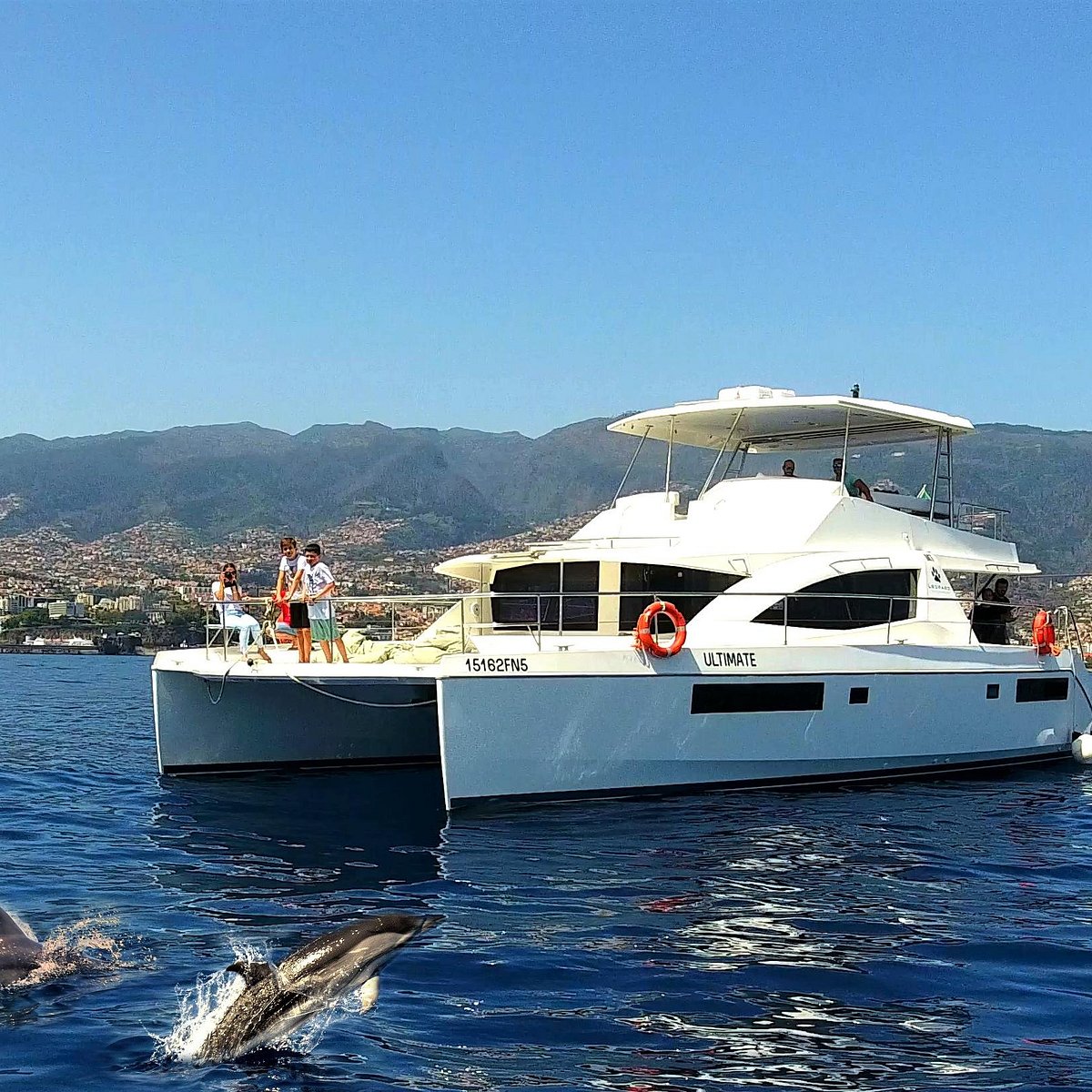 VipDolphins Luxury Whale Watching (Funchal) - All You Need to Know ...