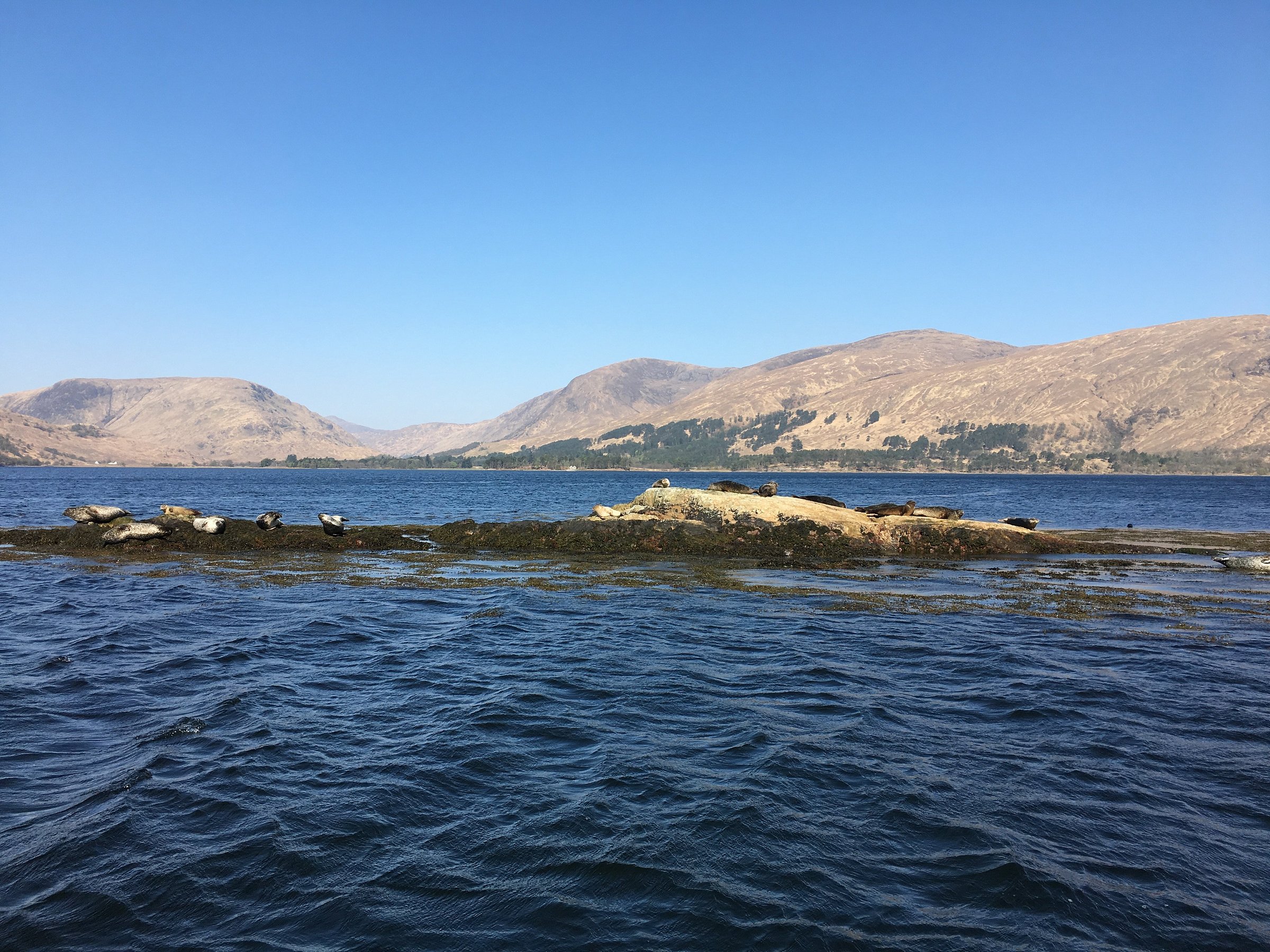 fort william sea tours