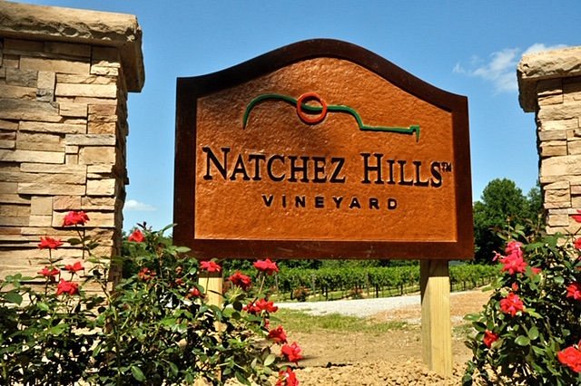 Natchez Hills Vineyard image