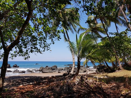 Drake Bay - Agujas River: 5 fotos - Puntarenas, Costa Rica